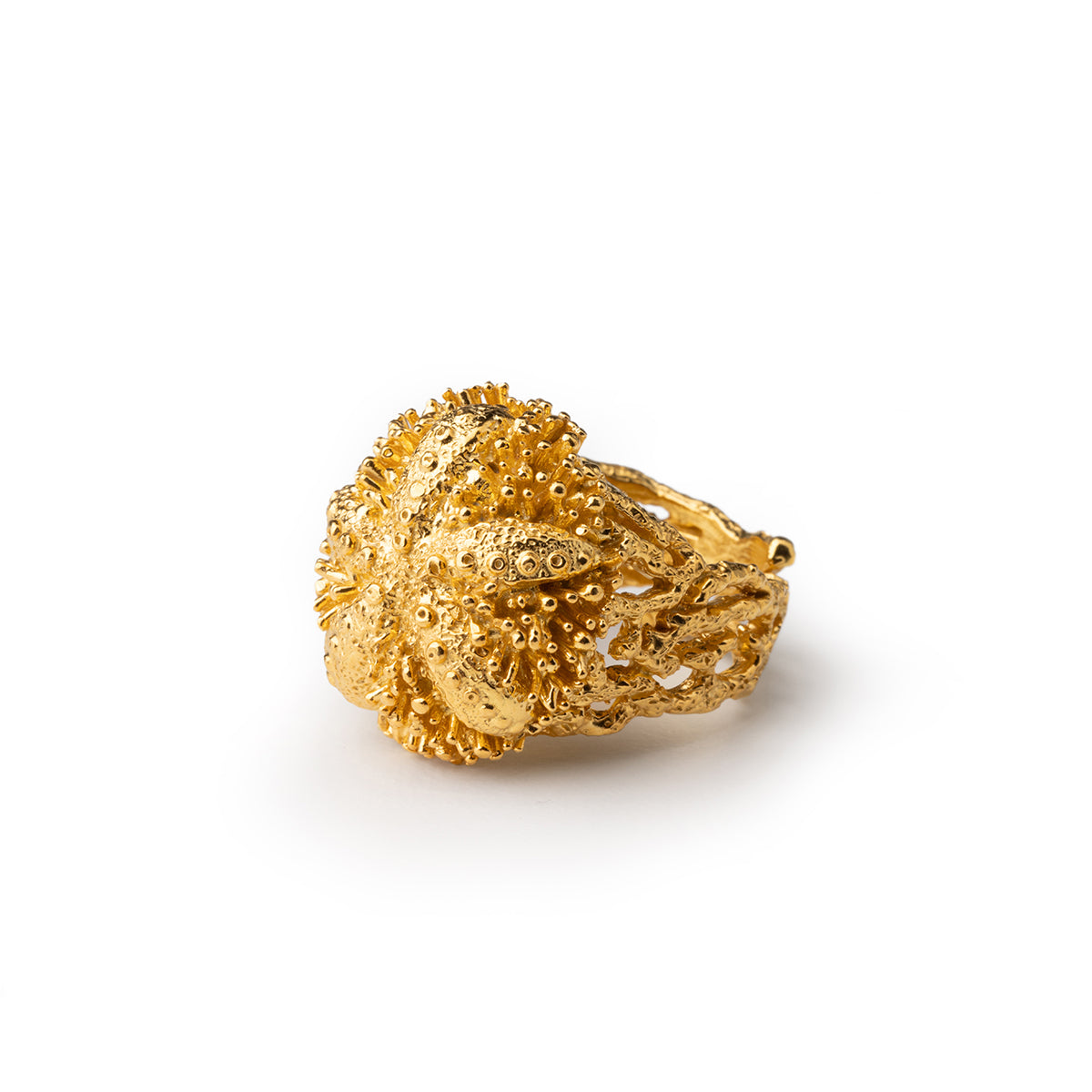 Ring Stachelig Gold