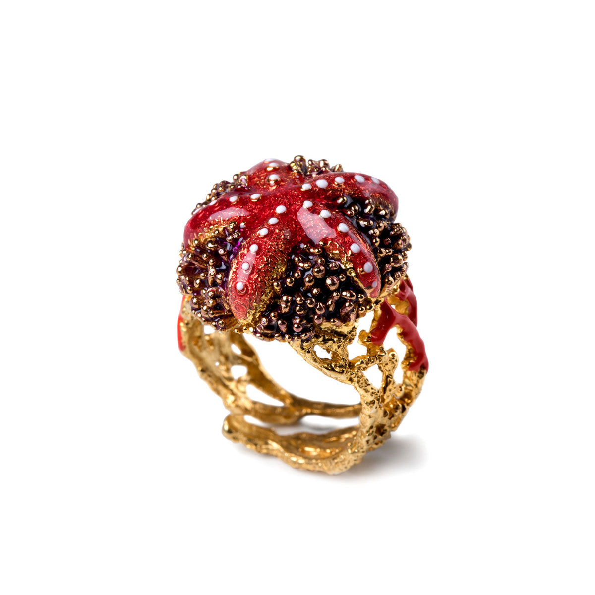 Ring Seestern Seeigel